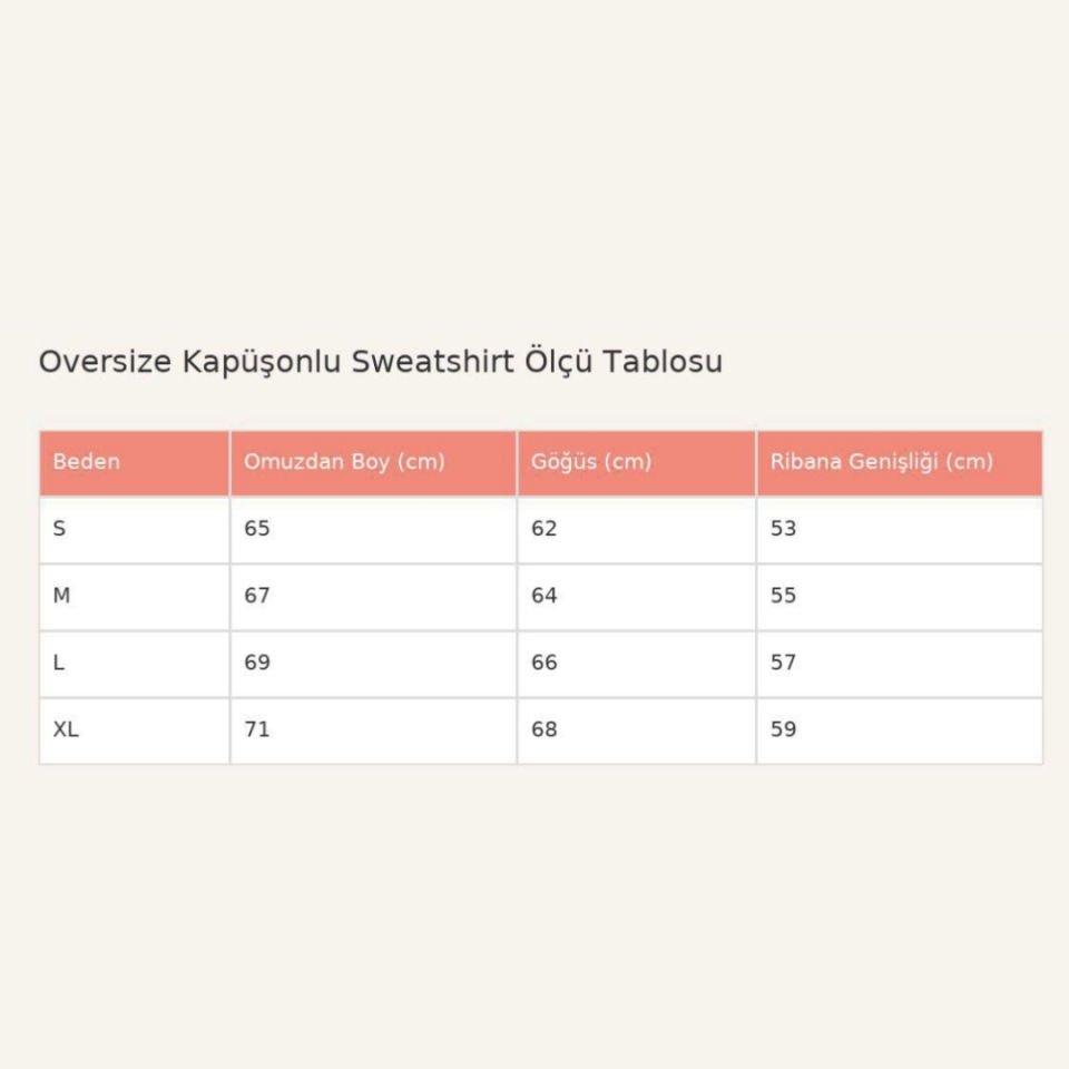 Oversize Kapüşonlu Nakışlı Sweatshırt
